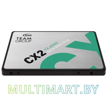 SSD диск Team CX2 256GB (T253X6256G0C101) картинка 3